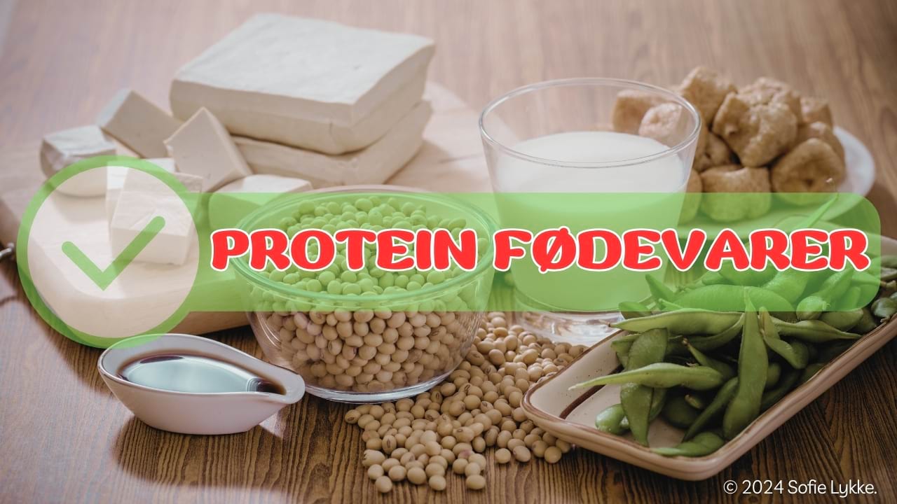 Keto diæt protein liste.